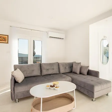 Luxury Grey House Villa